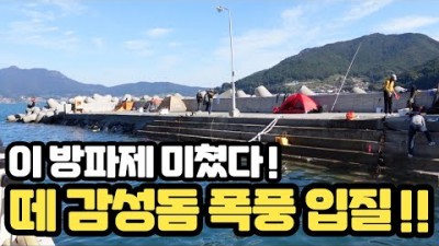 경남 남해 낚시 가볼만한 곳 노도 방파제 낚시, 감성돔 채비 미끼 및 조황 포인트 정보