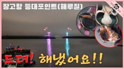 충남 당진 장고항 해루질, 낙지, 소라(주먹,할배소라) 야간 워킹 해루질 포인트 및 정보