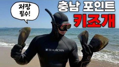 충남 보령 키조개 해루질 가볼만한 곳, 보령 원산도 수중 다이빙 키조개 해루질 포인트 및 조황 정보