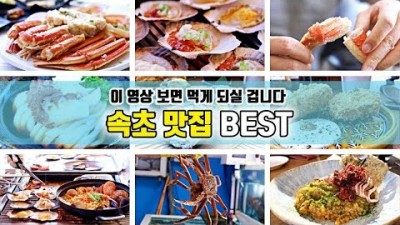 속초 맛집 가볼만한 곳 2023년 속초 베스트 맛집 추천 대포항 대포대게회직판장, 쪼개니(조개구이), 동명항 비치대게, 하마식당(일식-후토마키), 카페(Pei,소리, 긷) 갈만한 곳 추천 정보